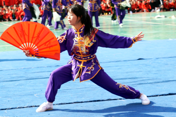 登封文武学校女孩练武术的最佳年龄是什么时候?全阶段训练指南