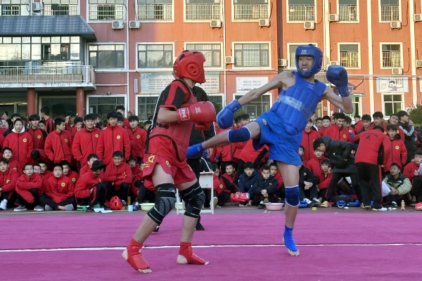 河南哪里可以报散打班？少林武校散打报名条件与课程解析