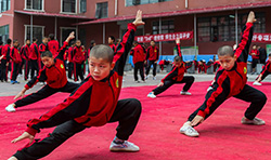 少林文武学校中国知名学校，无数优异人才案例