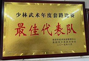少林文武学校荣获年度套路比赛最佳代表队