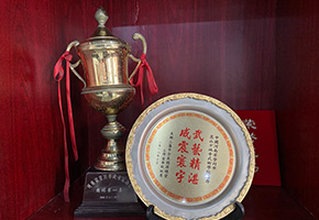 少林文武学校荣获登封市武术运动会全体第一名