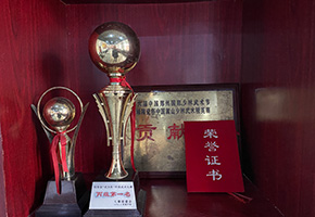 少林文武学校荣获武协杯传统武术比赛丙组第一名