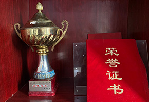少林文武学校荣获青少年武术锦标赛团体第一名